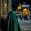 mirhaali7785