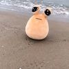 elidoypou2
