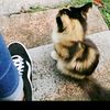 tiktok586020