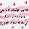 user8753329010381
