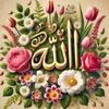rachidahafid31