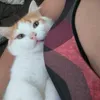guelethay
