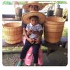 judith.huatatoca