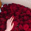 tati.ebrahim