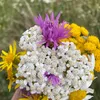 mohammadmustafa9628