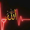 user57633188873886