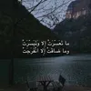 zai_2i