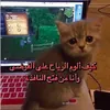 zoza53829