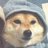 stephanylol00