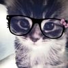 foxify2.2