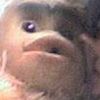 dannie01706