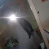 trannguyenhami261