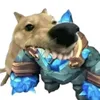 top1vanheo