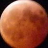 thebloodiedmoon