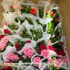 phucnguyenhong123