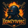 domzy1v99