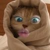 arind_a12