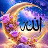 pesan_tiktok1236