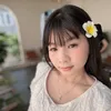 hani_hani008