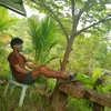 humble3549
