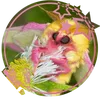 notifications_344