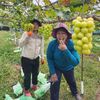 จัดส่งแรงงานไทยทำงานต่างประเทศ