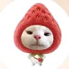 bongg_sayhi08