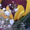 user1982207226226