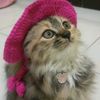karmila_286