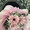 rijan.majid2