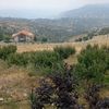 tania.daher2