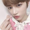 jungwongdz