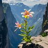 _renjanaa.1