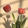 cuttieefinds