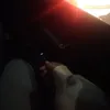 theygaldszh