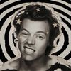bluebird_harryshouse123