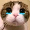 heheha1710