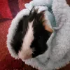 lulu1237789