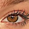 yasmine.alsham71