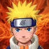 user555rexecco