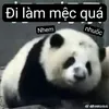user53262496730