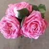 user8625037711928