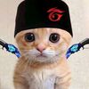 geral_9698