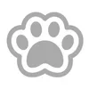 bravelittlepaw