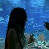 milah_553