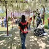 khanh.phuong537