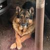 samuray_741