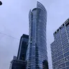 dubajski_kelp