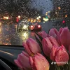 umhamody82