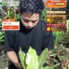 sinar_jaya_florist